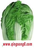 ĶʳŶ