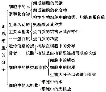 高一生物组成细胞的分子教材分析
