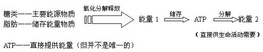 高一生物新陈代谢与ATP教学设计