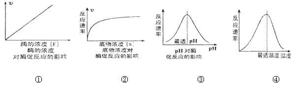 高中生物必修1实验:探究影响酶活性的因素